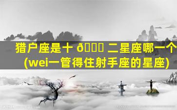 猎户座是十 🐞 二星座哪一个(wei一
管得住射手座的星座)